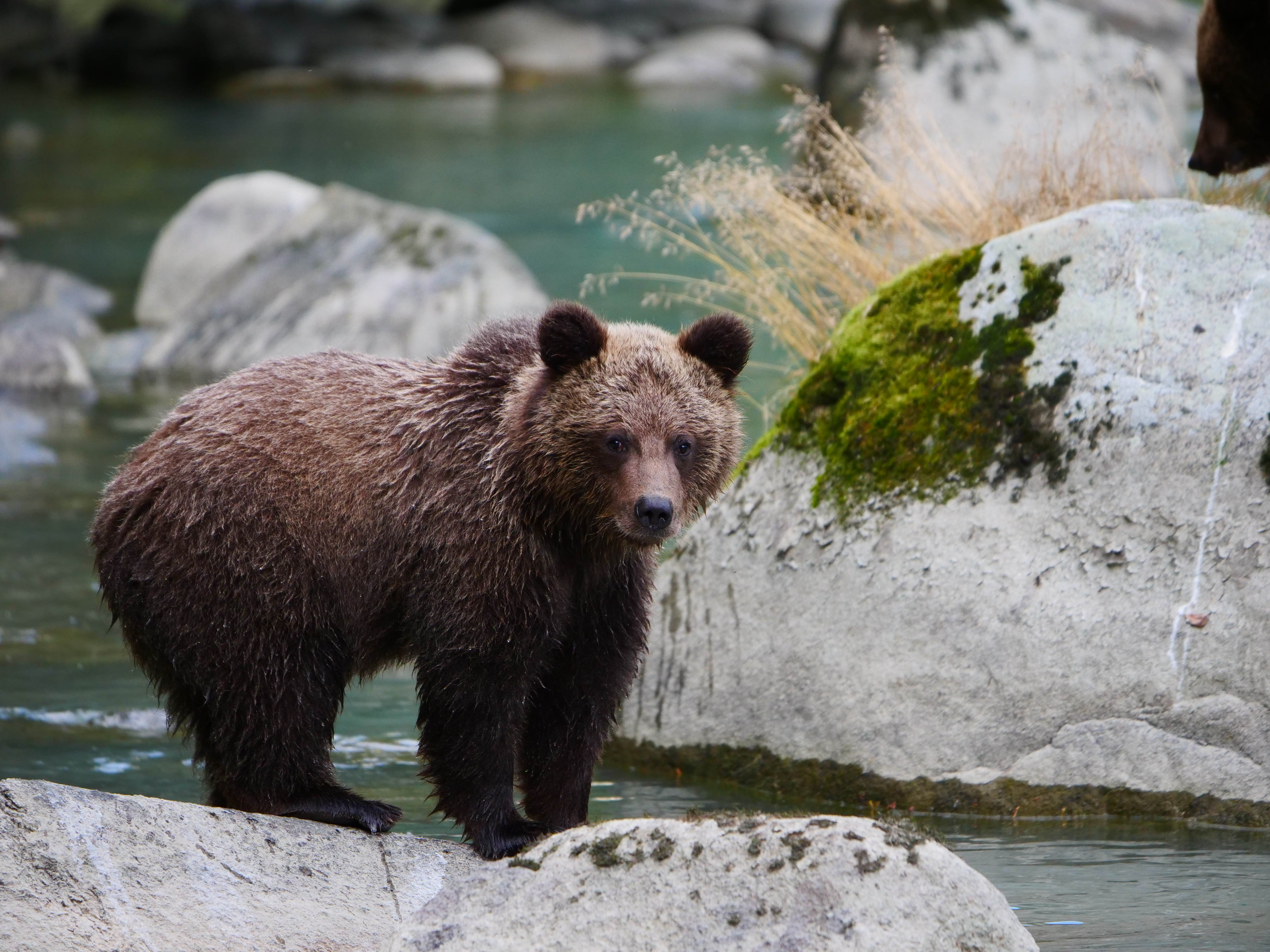 WILD & FREE WILD & FREE